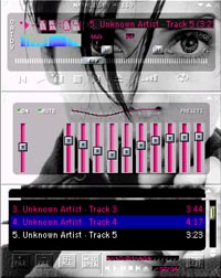 WinAmp Skin