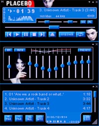 WinAmp Skin