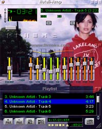 WinAmp Skin